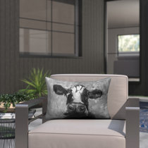 Farmhouse outdoor throw sales pillows